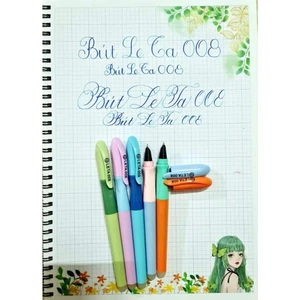 Bút máy mực LETA 008- viết bài hàng ngày-luyện chữ đẹp- ngòi kim tinh mài êm thanh đậm nhẹ