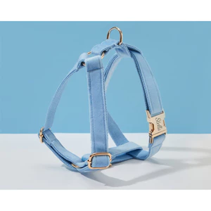 Bộ dây nịt và dây xích cho chó nhung SkyBlue, Cá nhân hóa bước trong dây nịt + cổ áo + nơ + giá đỡ túi Poo, Gói dây nịt đám cưới không kéo