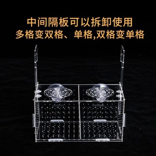 Hộp cách ly bể cá Hộp ấp trứng Acrylic trong suốt Hộp nhân giống Guppy Vẹt Mini Hộp giống chiên nhỏ cxbszxycw.my2 / 17
