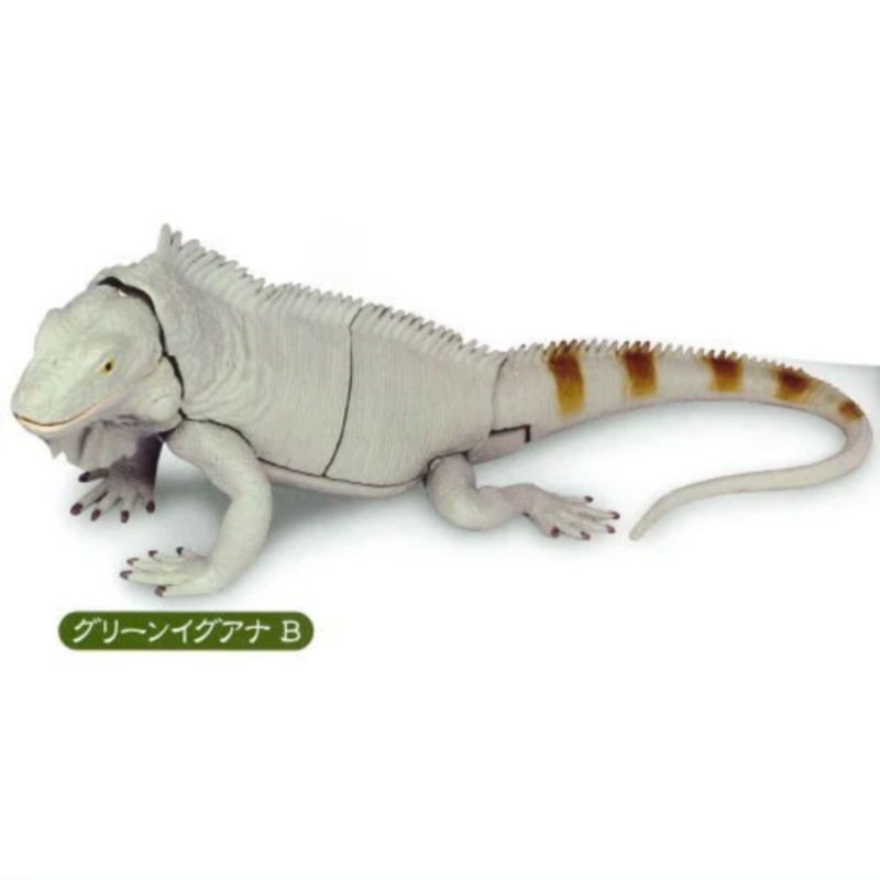 [Btf] Hàng có sẵn Nhật Bản T-ARTS Capsule Toy Series Sinh học Sách minh họa lớn Vương quốc Thằn lằn Đồ trang trí sống động FXUJ