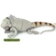 Hàng có sẵn Nhật Bản T-ARTS Capsule Toy Series Sinh học Sách minh họa lớn Vương quốc Thằn lằn Đồ trang trí sống động FXUJ