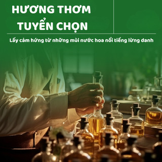 Túi Hút Ẩm Mùi Thơm Nước Hoa 2 Ngăn Siêu Thấm Hút Ẩm Chống Mốc, Túi Thơm Để Tủ Quần Áo, Tủ Giày