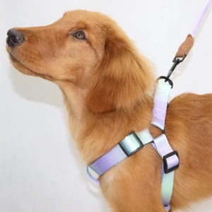 Dây nịt chó Mya Dây xích đầy màu sắc Nhỏ vừa Dây nịt ngực cho chó Dây nịt đầy màu sắc