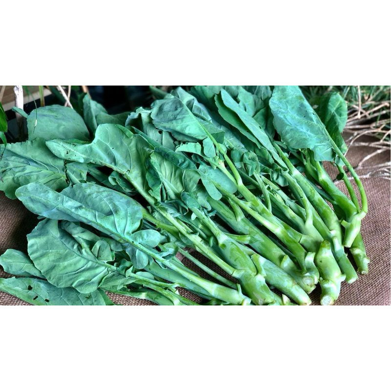 Hạt Giống Cải Rổ (Cải Làn) – Ngọt Giòn, Lá Xanh Mướt, Năng Suất Cao