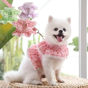 Chó cưng Dây xích ren hoa dễ thương Dây xích chó Dây xích chó