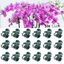 Kẹp ghép PWSSEND, Đồ dùng Dụng cụ làm vườn Kẹp cây nho, Nhựa bền 6 móng lan Hỗ trợ hoa lan Kẹp hoa lan Cây thân cây