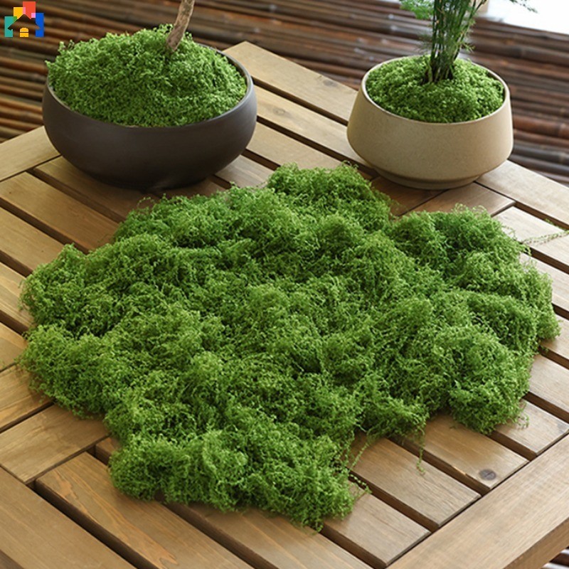 Mô Phỏng Rêu Cỏ Cỏ Cỏ Nhân Tạo Rêu Xanh Cây Giả Cho Nhà Vườn Tường DIY ...
