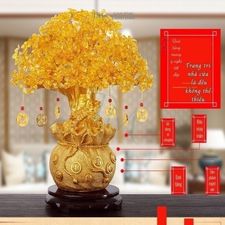 Cây Kim Tiền Đá Thạch Anh IKEA MAMA – Mang Lại May Mắn, Hút Lộc Bình An