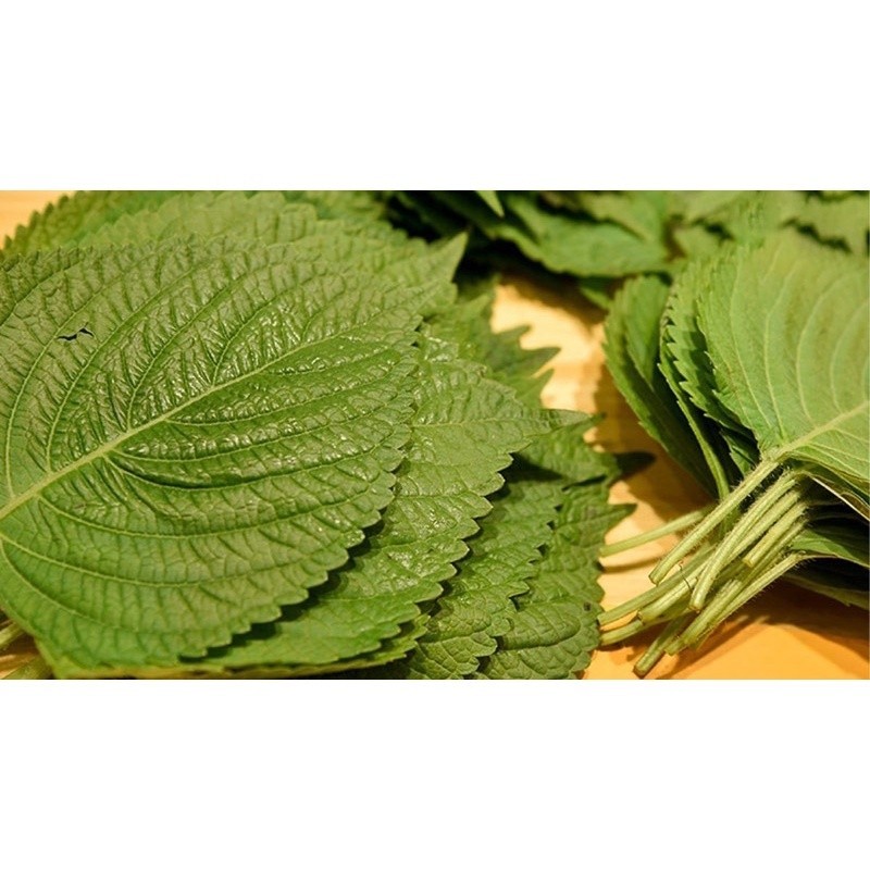 Hạt Giống Lá Mè Hàn Quốc , Lá Xanh Thơm, Giàu Dinh Dưỡng,trồng Chậu Hoặc Vườn