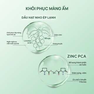 Sữa dưỡng keo bạc phục hồi, ngăn ngừa hại khuẩn cho da tổn thương, nhạy cảm 120ML SILVER DAILY CALMING MILKY ESSEN