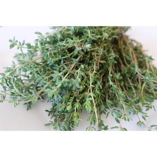 50g-100g Thyme Lá Thơm Xạ Hương Nấu Món Âu Hầm Steak Bít Tết