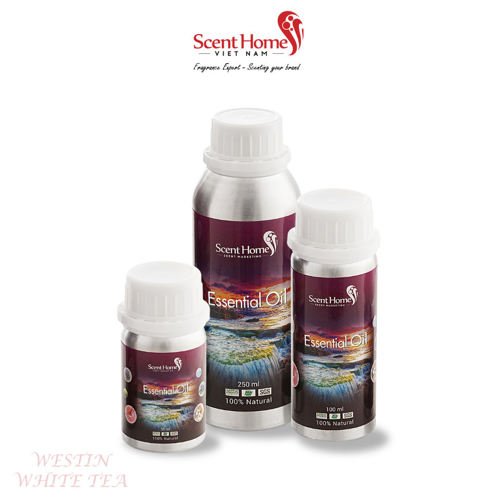 Tinh dầu cao cấp Westin White Tea Scent Homes ( Westin White Tea