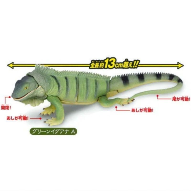 [Btf] Hàng có sẵn Nhật Bản T-ARTS Capsule Toy Series Sinh học Sách minh họa lớn Vương quốc Thằn lằn Đồ trang trí sống động FXUJ