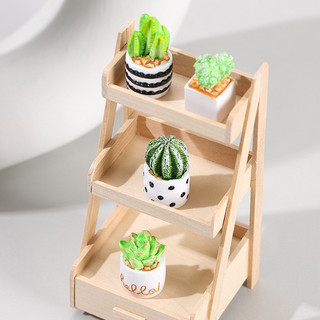 Chậu Cây Xương Rồng Mini Để Bàn Trang Trí