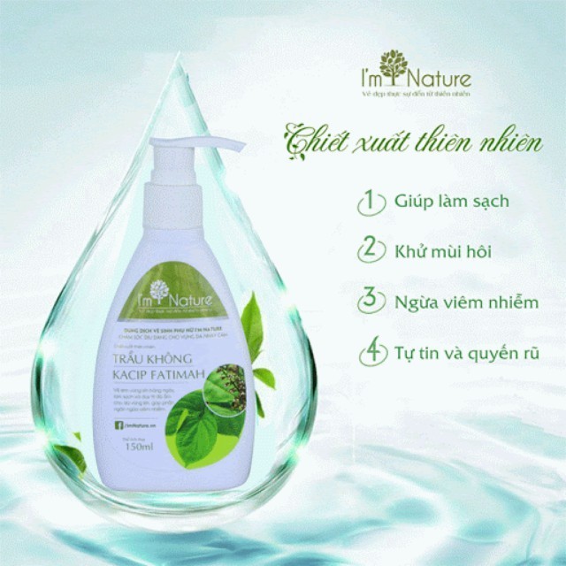 Thiết kế của Ô Cao Cấp