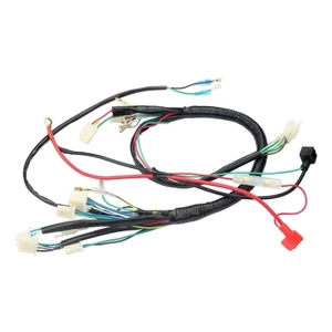 EDB * Dây LoomHarness Switch Đánh lửa Cuộn dây CDI cho 50-125cc Dirt Bikes Stators