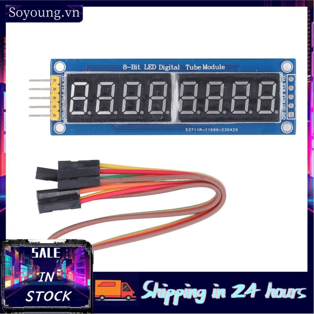 Soyoung 8 Digit Display Board Segment Tube LED 74HC595 Drive Common ...