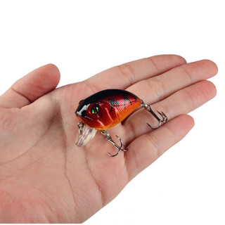 Mồi Câu Cá Giả Fatso Nổi Mắt 3D Chuyên Câu Lure Chất Lượng Cao MO53
