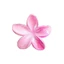 8cm Nhiều Màu Sắc Gradient Hoa Sứ Nữ Phụ Kiện Tóc Cô Gái Ngọt Ngào Frangipani Kẹp Tóc Cá Mập Kẹp Tóc