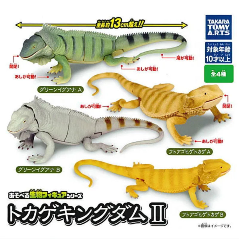[Btf] Hàng có sẵn Nhật Bản T-ARTS Capsule Toy Series Sinh học Sách minh họa lớn Vương quốc Thằn lằn Đồ trang trí sống động FXUJ