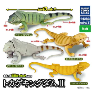 Hàng có sẵn Nhật Bản T-ARTS Capsule Toy Series Sinh học Sách minh họa lớn Vương quốc Thằn lằn Đồ trang trí sống động FXUJ