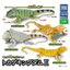 Hàng có sẵn Nhật Bản T-ARTS Capsule Toy Series Sinh học Sách minh họa lớn Vương quốc Thằn lằn Đồ trang trí sống động FXUJ