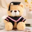 Búp bê gấu ngồi khiêm tốn, Búp bê gấu bông nhỏ tốt nghiệp, Áo choàng tốt nghiệp dễ thương 23cm Đồ chơi sang trọng dành cho học sinh