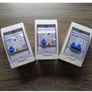 (HCM) Cầu dao Aptomat chống giật, chống dòng rò CHINT 2P (1P + N ) 10A - 63A (Hàng chính hãng CE- Chữ Tiếng Anh)