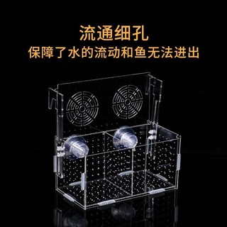 Hộp cách ly bể cá Hộp ấp trứng Acrylic trong suốt Hộp nhân giống Guppy Vẹt Mini Hộp giống chiên nhỏ cxbszxycw.my2 / 17