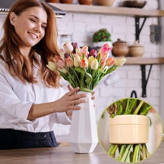 ❈ ✷ ❈ ❈ ❈ ❈ ✷ ❈ ❈ ❈ ❈ ❈ 🍒 ❈ ❈ Giá đỡ thân cây Ikebana xoắn ốc