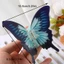 Yoo Mùa Hè Bướm Tóc Acrylic Vuốt Tóc Thời Trang Kẹp Tóc Thanh Lịch Phụ Kiện Tóc Bé Gái Trang Trí Tóc Cho Wome