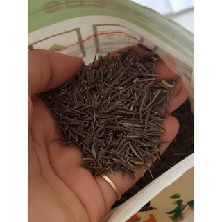 100 Hạt Giống Hoa Sao Nhái F1 (Hoa Cánh Bư.ớ.m) Nhiều Màu - Tỷ lệ nảy mâm 90%