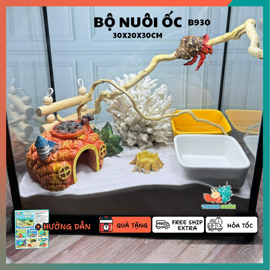 Combo nuôi ốc mượn hồn đầy đủ phụ kiện ( không kèm đèn ) B930 | Shopee ...