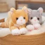 CODECOVED Đồ chơi sang trọng cho mèo mô phỏng, Gối mèo con sang trọng màu trắng / xám hoạt hình, Bộ sưu tập Búp bê mèo nhồi bông sang trọng nhồi bông sang trọng trẻ em