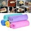 Khăn Chamois ô tô FANIELLAPOWELL, Khăn lau khô làm sạch ô tô siêu thấm, Dụng cụ làm sạch đa chức năng Khăn tắm khô thú cưng PVA