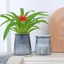 Chậu trồng cây tự tưới nước ZENZON, Bình hoa nhựa hai lớp, Trang trí cây cảnh gia đình Mini tự động tròn Lười Chậu hoa trong chậu trong nhà
