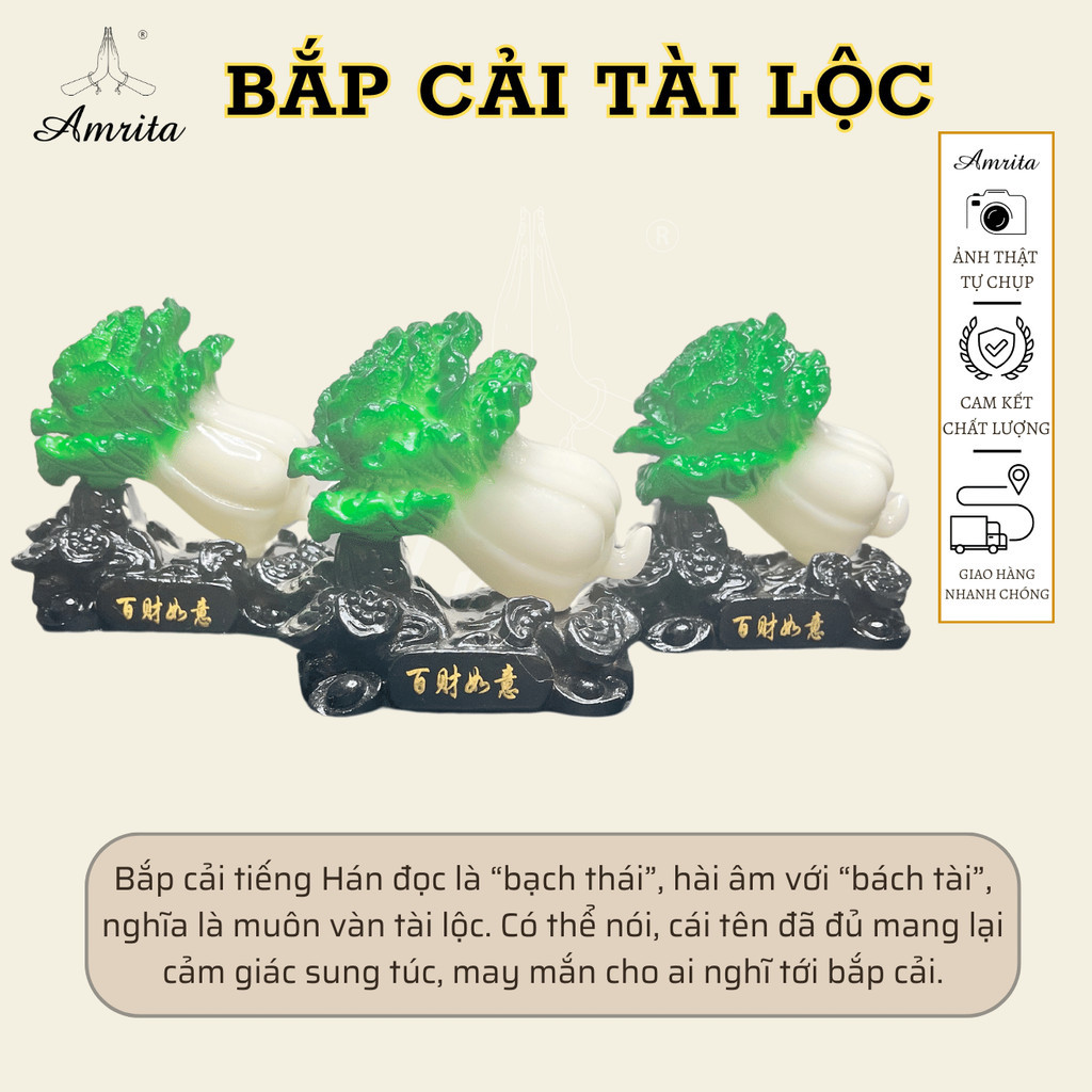 Bắp cải chiêu tài - Bắp Cải Phong Thủy Tài Lộc Để Bàn - Bắp cải tài lộc may mắn - Bắp cải phong thủy - Phật Giáo Amrita