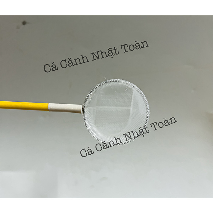 Vợt Vợt Tép Lưới Nano Định Hình (Không Gập Lưới, An Toàn Cho Tép) Dài 32cm