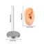THEGIRL8B Giá đỡ mô hình tai người, Giá đỡ hợp kim Mô hình tai silicon nhiều màu, Bền mềm mại Piercable Bông tai nhẹ Đế trưng bày đồ thủ công DIY