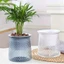 Chậu trồng cây tự tưới nước ZENZON, Bình hoa nhựa hai lớp, Trang trí cây cảnh gia đình Mini tự động tròn Lười Chậu hoa trong chậu trong nhà