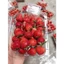 Hộp Nhựa Đựng Dâu Tây, Trái Cây, Rau Củ Quả, Thực Phẩm, Chất Liệu Pet Trong Suốt - Tổng Kho Hải Hạnh