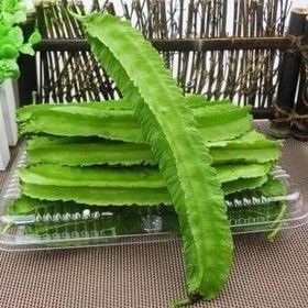 Hạt Giống Đậu Rồng Xanh Cao Sản | Quả 4 Cạnh Đẹp, Giàu Dinh Dưỡng