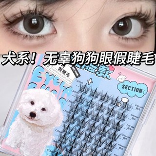 BQI Lông mi giả Lông mi giả phân đoạn Mô phỏng tự nhiên Cụm lông mi hoạt hình dày