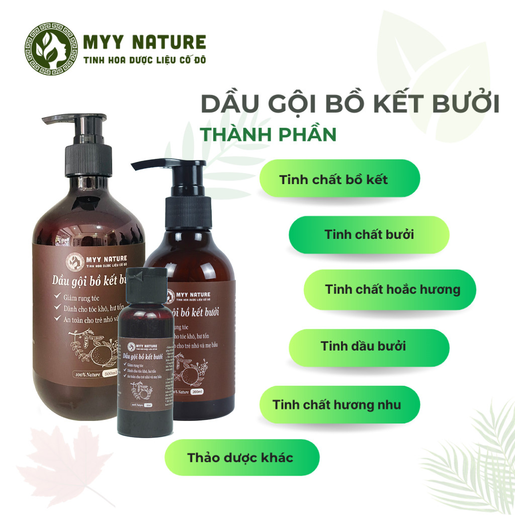 Dầu Gội Bồ Kết Bưởi Myy Nature 500ml Ngăn Rụng Tóc Phục Hồi Tóc Hư Tổn Giúp Tóc Chắc Khỏe Từ Bên Trong Mềm Mại Suôn Mượt