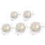 ROLY 5g 10g 20g 30g 50g Chai Kem Mặt, Bình Trang Điểm Trống Vuông Trong Suốt, Hộp Đựng Mỹ Phẩm Di Động Có Thể Đổ Lại