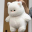 【Bingo】Đồ chơi nhồi bông, mèo trắng [45cm] mèo con dễ thương và mềm mại, búp bê gối, quà sinh nhật（0146）
