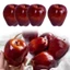 Kool 4 Miếng Táo Giả Màu Đỏ Tinh Tế Trang Trí Táo Đỏ Phụ Kiện Hoàn Hảo Cho Dụng Cụ Giảng Dạy Và Màn Hình Trang Trí