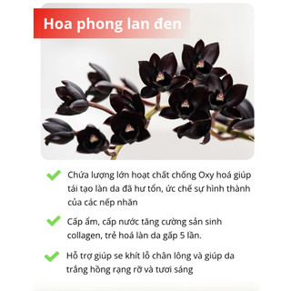 Kem xoá nhăn Qinglin trẻ hoá da nâng cơ, xoá mờ nám tàn nhang bổ sung collagen giúp da căng bóng 50g