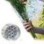YYlingx Giá đỡ thân hoa xoắn ốc trong suốt bằng nhựa cho bình hoa, dụng cụ DIY sắp xếp hoa