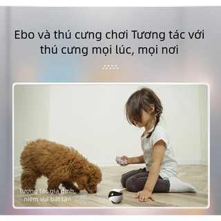 Camera giám sát di động Robot thông minh gia đình Ebo